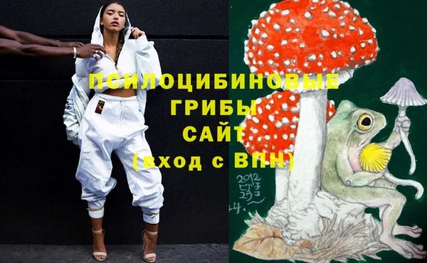 PSILOCYBIN Алексин