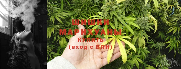 PSILOCYBIN Алексин