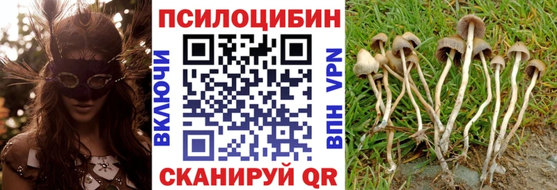 Псилоцибиновые грибы ЛСД  Крымск 